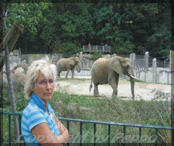 Helga vor Elefanten