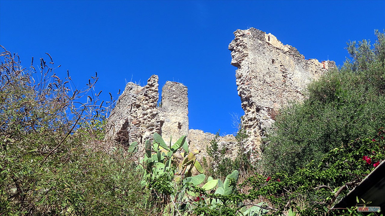 15d