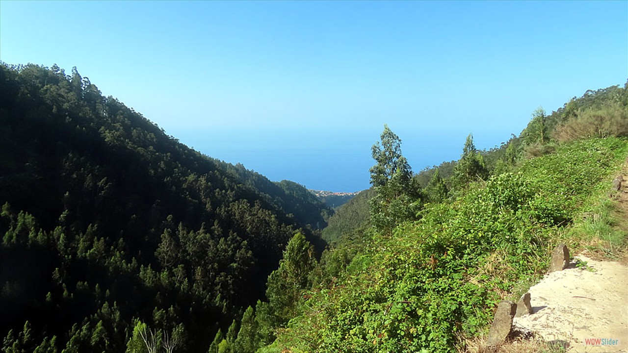 6a
