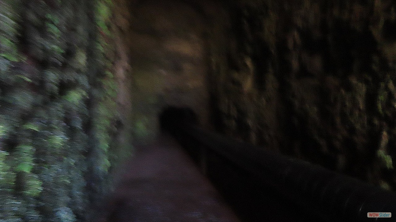 6e